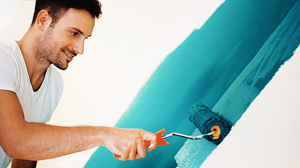 Best Remodeling Drywall Solutions  in Hawaiian Paradise Park, HI